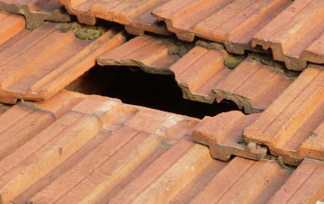 roof repair Dinas