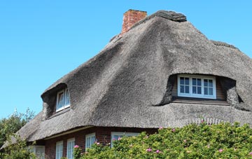 thatch roofing Dinas
